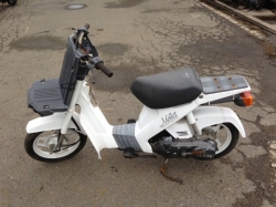 suzuki ���